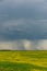 Prairie storms sweep over canola fields