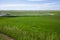 Prairie Wind Overlook in Badland national park during summer. From grassland to valley. Badland landscape South Dakota