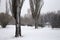 Prairie Winter Scene