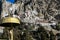 Praken Gompa - Temple built into the rock