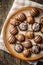 Praline bonbons. Chocolate truffles