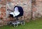 Pram for newborn babies on the garden and the wall