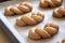 Praparation of braided bread rolls from whole grain spelt flour