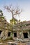 Prasat Ta Phrohm  is  a  stone  castle  built  in  the ancient  Khmer period