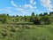 Prati di Ovindoli in Abruzzo, Italy.  Cows grazing in the nature.  Beautiful day in the green.  Blue sky with some clouds.