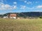 Prati di Ovindoli in Abruzzo, Italy.  Horses grazing in the nature.  Beautiful day in the green.  Blue sky with some clouds.