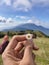 Prau maountain flower