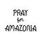 Pray For Amazonia. Hand drawn lettering. Disaster in Amazon Brazil. Vector Illustration