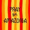 Pray For Amazonia. Hand drawn lettering. Disaster in Amazon Brazil. Vector Illustration