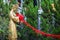 Pray for Good Love with red silk rope at Wong Tai Sin Temple in Hongkong. statue of the bride