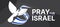 Pray for israel - Text and israel flag waving around white peace bird on black background vector design