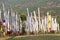 Prayer flags, Chimi Lhakang, Punakha, Bhutan