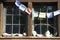 Prayer flags, rock collection and old fashioned window panes