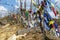 Prayer flags on top of the mountain at Chelela point in central Bhutan