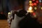 Prayer hands of a young girl on background of candle light and colorful Christmas bokeh lights. Person praying alone in silent.