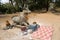 Prayer Offerings at Phnom Bakheng, Cambodia