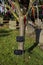 Prayer ribbons on a tree in a graveyard cemetery