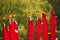 Prayful flags of red color fluttering on wind