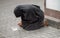 Praying and begging woman kneeling on the street