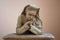 Praying Catholic Nun - Bust Sculpture in Plaster, Rome