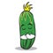 Praying face cucumber character cartoon collection