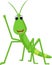 Praying mantis grasshopper cartoon