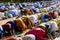 Praying Muslims