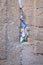 Praying notes in a gap of the wailing wall in vertical view