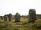 Pre celtic Carnac standing granite stones menhir megalith monolith rock alignment row Brittany France Europe