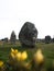 Pre celtic Carnac standing granite stones menhir megalith monolith rock alignment row Brittany France Europe