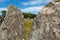 Pre celtic standing granite stones or menhirs in Carnac