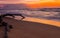 Pre Dawn Light on Driftwood and The Sandy Shore of Lydgate Beach