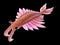 A pre-historic marine creature - anomalocaris