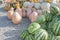 Pre-holiday colorful pumpkins and watermelons display at farmers market