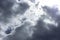 Pre-storm sky with dark clouds, thick rain trees thickened before a thunderstorm. stormy sky