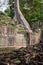 Preah Khan temple, Angkor area, Siem Reap, Cambodia