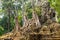 Preah Palilay temple in Angkor Wat