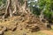 Preah Palilay temple in Angkor Wat