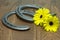 Preakness Stakes Black Eyed Susans with Horseshoes on Wood