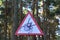 Precautionary sign Carefully â€” Pincers in the forest