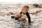 Precious Adorably Cute Happy Baby Boy Toddler Smiling and Playing in the Sand At the Beach Next to the Ocean Water Outside During