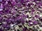 Precious purple amethyst mineral very rare