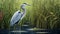 Precise And Detailed Illustration Of A Gray Heron In A Field Of Reeds