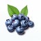 Precise Hyperrealism: Blueberries On White Background
