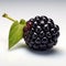 Precise Hyperrealism: Stunning 8k Photo Of Blackberry On White Background