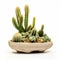 Precise And Lifelike Cactus Bonsai In A Sculptural Form