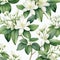 Precise And Lifelike Watercolor Pattern With White Jasmine Flower