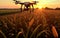 Precision Agriculture Drones Revolutionizing Farming at Sunrise