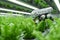 Precision agriculture Smart robotic farmers illustrate advanced farm automation technology