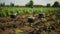 Precision Agriculture Technology with Solar-Powered Sensors in Field.